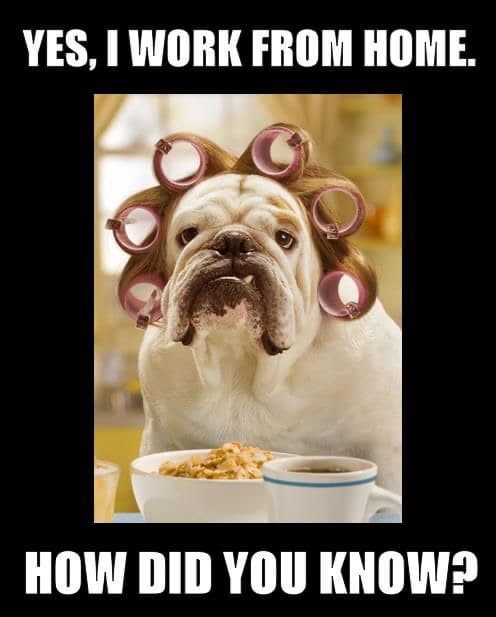 Top tips fpr working from home